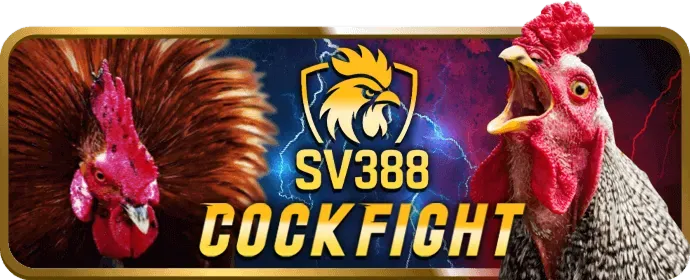Sứ mệnh và Tầm nhìn của hi88823