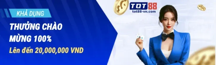 Dịch vụ hỗ trợ VIP chuyên nghiệp